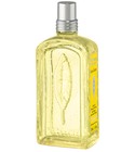 Verveine Agrumes 2015 L'Occitane en Provence
