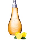 parfém Citrus
