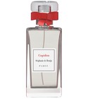 Cupidon Stéphanie de Bruijn - Parfum sur Mesure