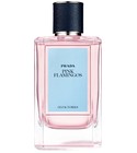 Pink Flamingos Prada