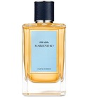 Marienbad Prada
