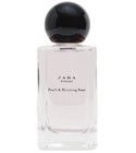 Zara Woman Peach & Blooming Rose Zara