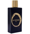 Accendis 0.1 Accendis