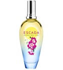 Agua del Sol Escada