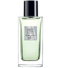 Pamplemousse&Basilic L'Essence des Notes