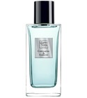 Cardamome&Embruns L'Essence des Notes