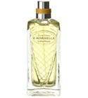 parfém Ambra Royale