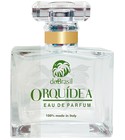 Orquídea Do Brasil