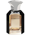parfém Oud Amber