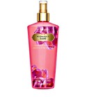 Midnight Dare Victoria's Secret