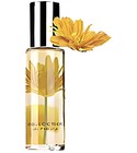 Joyful Yellow Avon