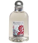 Belle de Soleil Fragonard