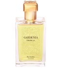 Gardenia Tropical Paul Emilien