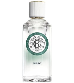 Open Roger & Gallet cologne - a fragrance for men 1985