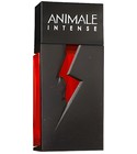Animale Intense Animale