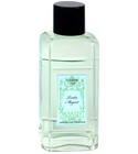 Tendre Muguet Jardin de France