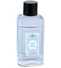 Fidele Violette Jardin de France