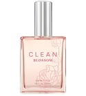 parfém Clean Blossom