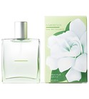 Gardenia Bath & Body Works