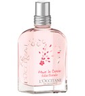 Fleurs de Cerisier Folie Florale L'Occitane en Provence
