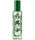 parfém Wild Strawberry & Parsley