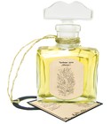 parfém Chypre