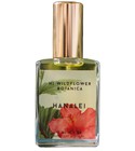 parfém Hanalei