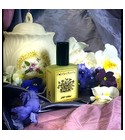 Violet Mallow Solstice Scents