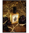 Thornwood Thicket Solstice Scents