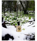 Snowmint Mallow Solstice Scents