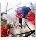 Winter Dove Solstice Scents