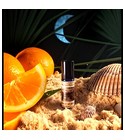 Heat of the Night Solstice Scents