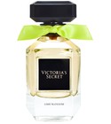 Lime Blossom  Victoria's Secret