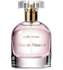 Fleur de Mimosa And Other Stories