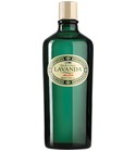 Lavanda Ach. Brito