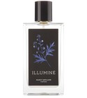parfém Illumine