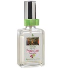 parfém Peonia e Lime