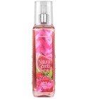 Watermelon Berry Natural Scents