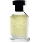 Rosa 23 Bois 1920