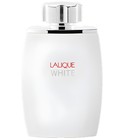 parfém Lalique White