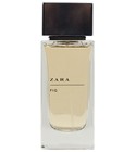 Zara Fig Zara