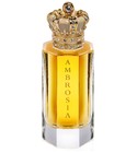 parfém Ambrosia