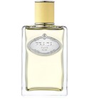 Infusion de Mimosa Prada