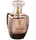 parfém Velvet Cristal