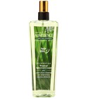 Tropical Cocnut Coast ActivESSENCE