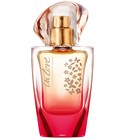 Today Tomorrow Always In Love (2016) Avon