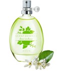 Scent Essence - Lime Verbena​  Avon