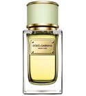 Velvet Pure Dolce&Gabbana