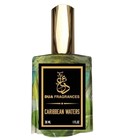 parfém Caribbean Waters