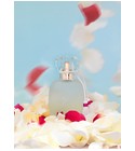 parfém Un Zephir de Rose